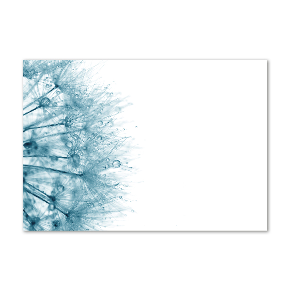 Quadro in vetro acrilico Dente di leone