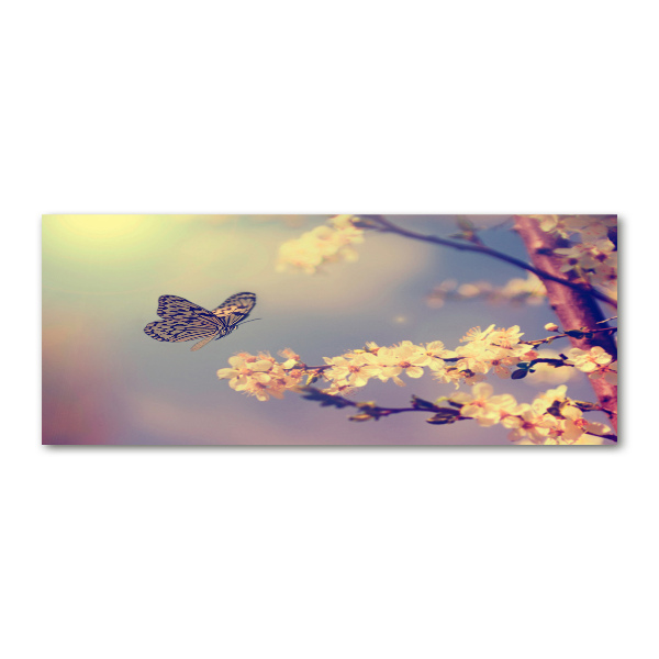 Quadro vetro acrilico Fiore di ciliegio e farfalla