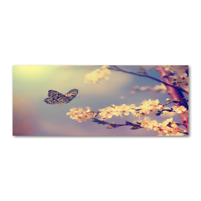 Quadro vetro acrilico Fiore di ciliegio e farfalla