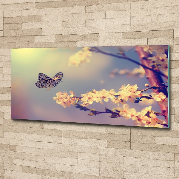 Quadro vetro acrilico Fiore di ciliegio e farfalla