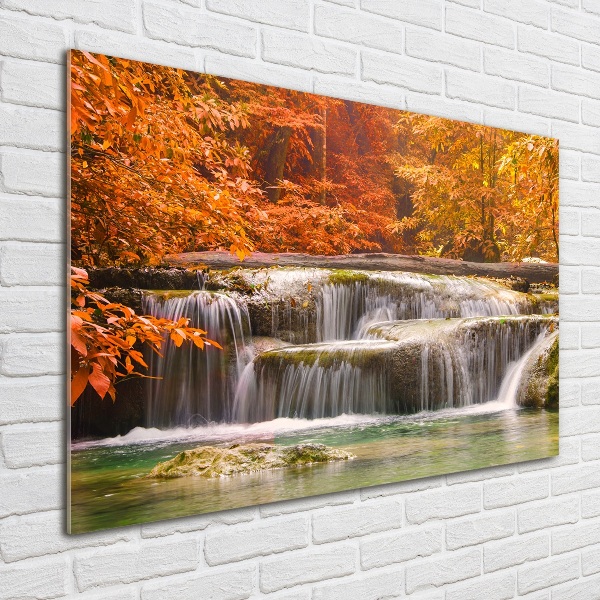 Quadro vetro acrilico Cascata in autunno