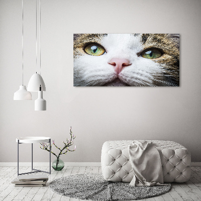Quadro vetro acrilico Occhi di gatto verdi