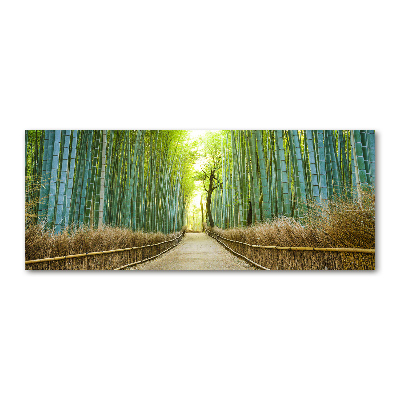 Quadro in vetro acrilico Foresta di bambù