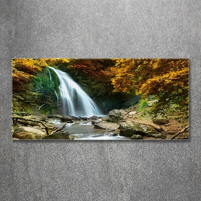 Quadro vetro acrilico Cascata nella foresta