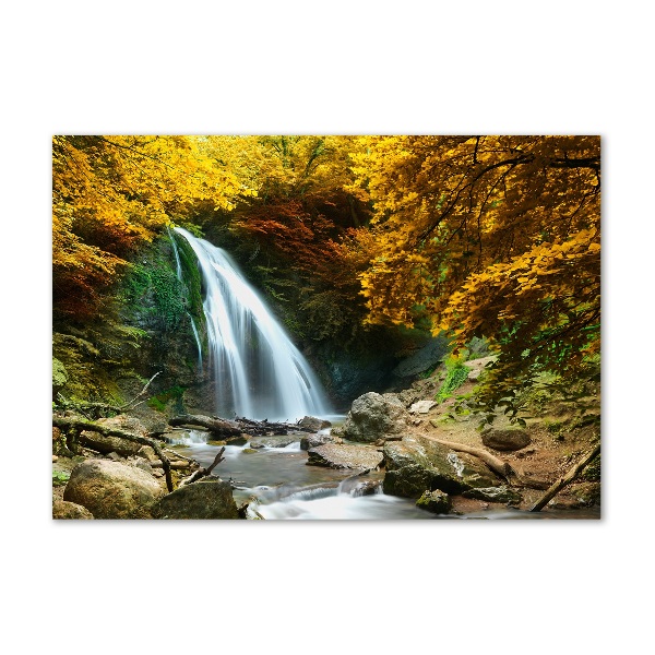 Quadro vetro acrilico Cascata nella foresta