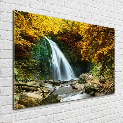 Quadro vetro acrilico Cascata nella foresta