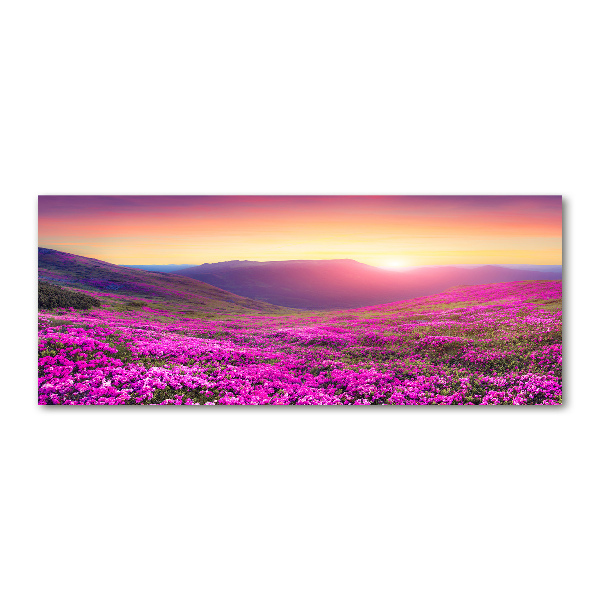 Quadro su vetro acrilico Colline rosa