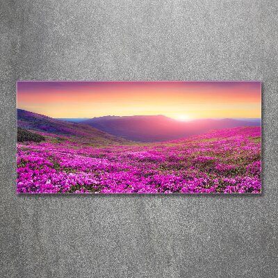 Quadro su vetro acrilico Colline rosa