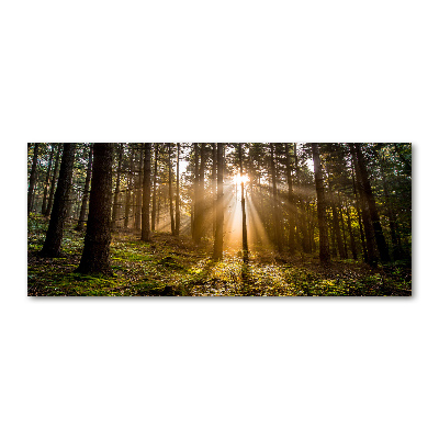 Quadro in vetro acrilico Luce solare