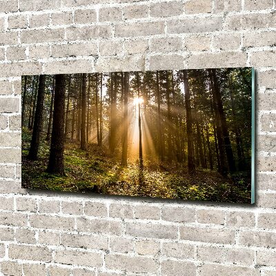 Quadro in vetro acrilico Luce solare