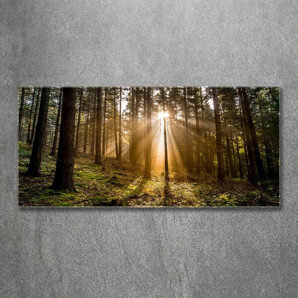 Quadro in vetro acrilico Luce solare