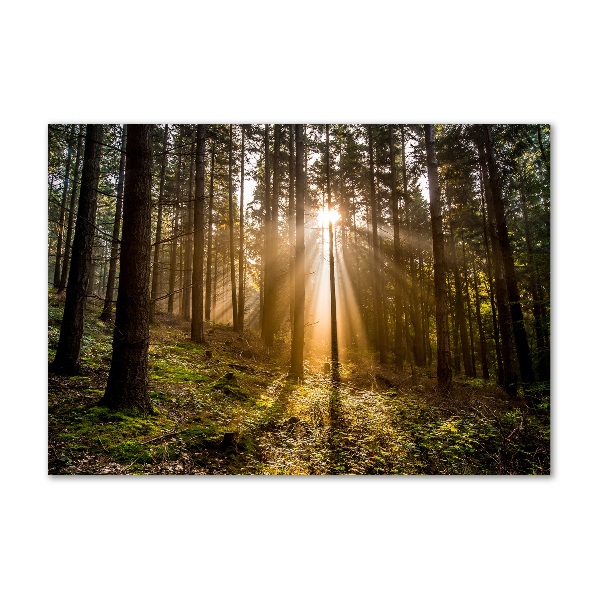 Quadro in vetro acrilico Luce solare