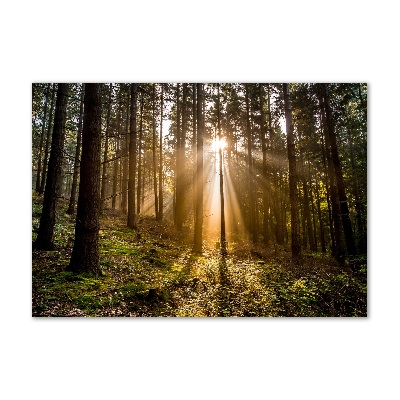 Quadro in vetro acrilico Luce solare