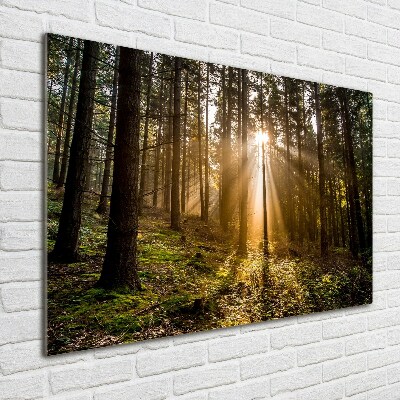 Quadro in vetro acrilico Luce solare