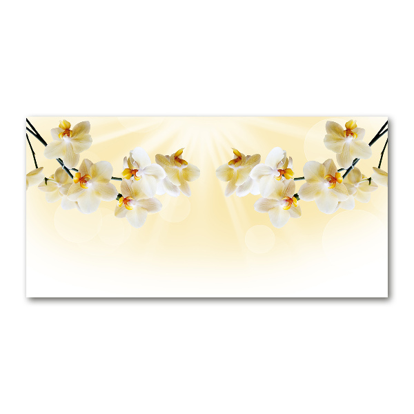 Quadro vetro acrilico Orchidea