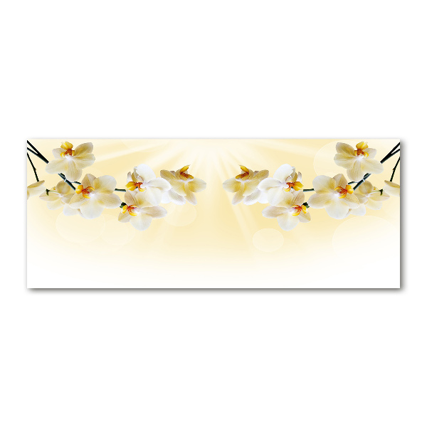 Quadro vetro acrilico Orchidea