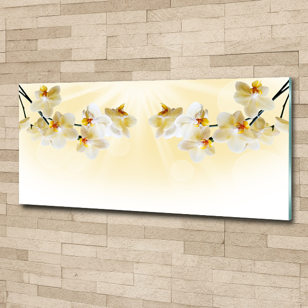 Quadro vetro acrilico Orchidea