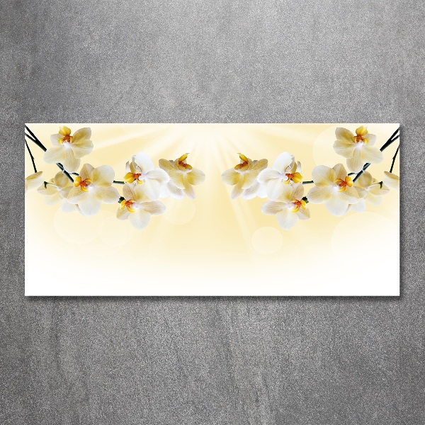 Quadro vetro acrilico Orchidea