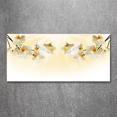 Quadro vetro acrilico Orchidea