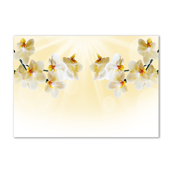 Quadro vetro acrilico Orchidea