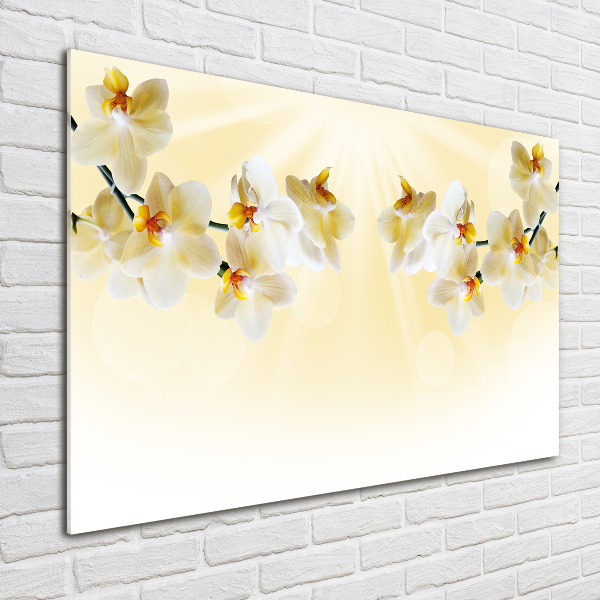 Quadro vetro acrilico Orchidea