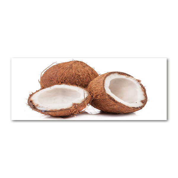 Quadro su vetro acrilico Noce di cocco