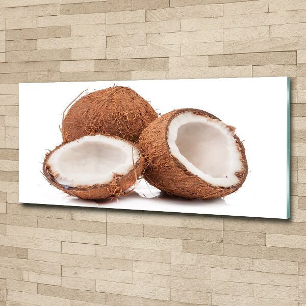 Quadro su vetro acrilico Noce di cocco