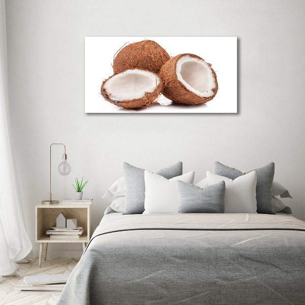Quadro su vetro acrilico Noce di cocco