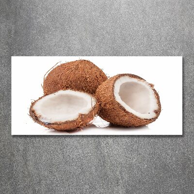 Quadro su vetro acrilico Noce di cocco