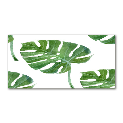 Quadro vetro acrilico Monstera