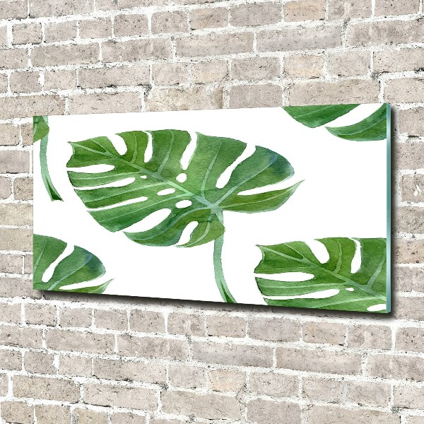 Quadro vetro acrilico Monstera