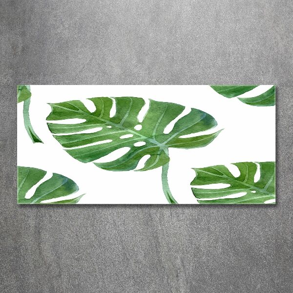 Quadro vetro acrilico Monstera