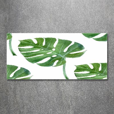 Quadro vetro acrilico Monstera