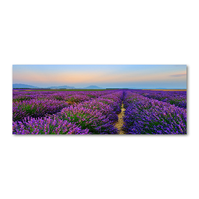Quadro vetro acrilico Campo di lavanda