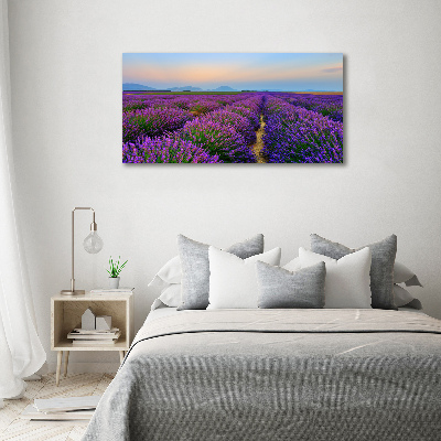 Quadro vetro acrilico Campo di lavanda