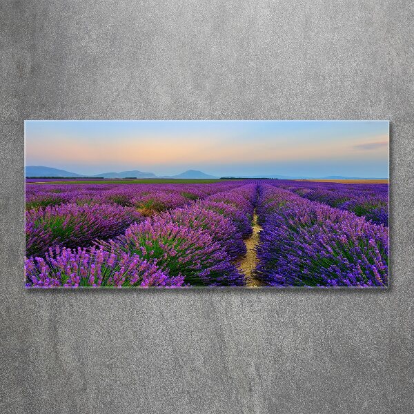 Quadro vetro acrilico Campo di lavanda
