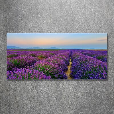 Quadro vetro acrilico Campo di lavanda