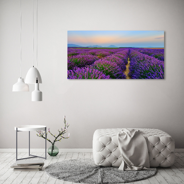 Quadro vetro acrilico Campo di lavanda