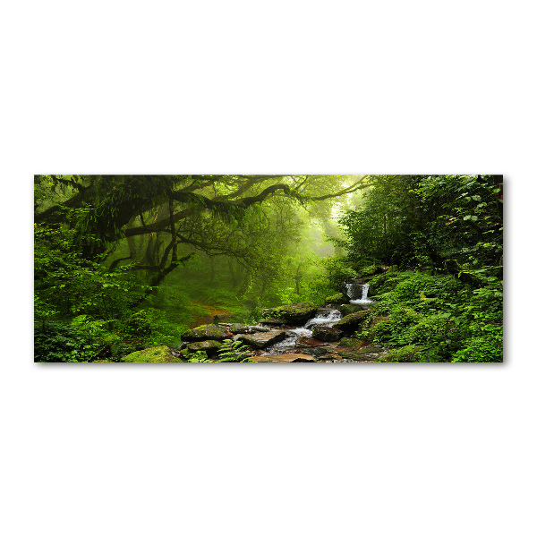 Quadro su vetro acrilico Giungla in Nepal