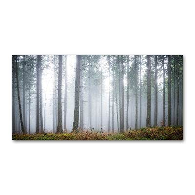 Quadro in vetro acrilico Nebbia nella foresta