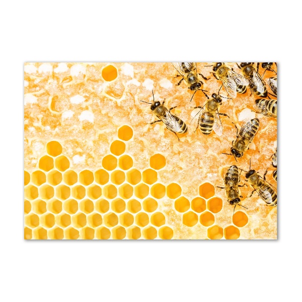 Quadro su vetro acrilico Api operaie