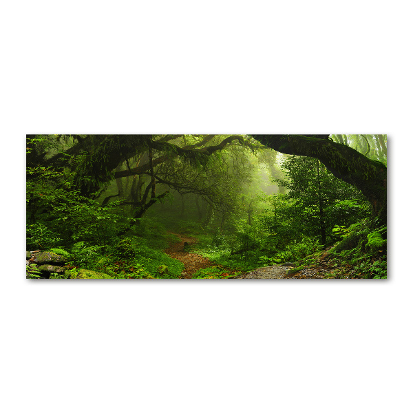 Quadro in vetro acrilico Giungla in Nepal