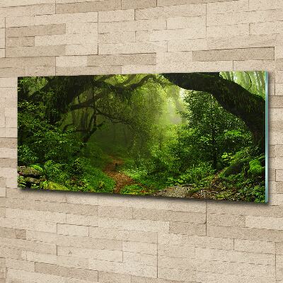 Quadro in vetro acrilico Giungla in Nepal