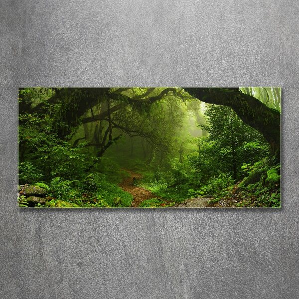 Quadro in vetro acrilico Giungla in Nepal
