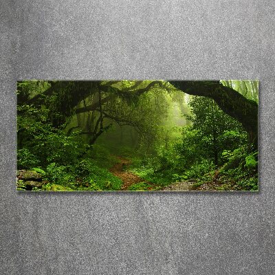 Quadro in vetro acrilico Giungla in Nepal