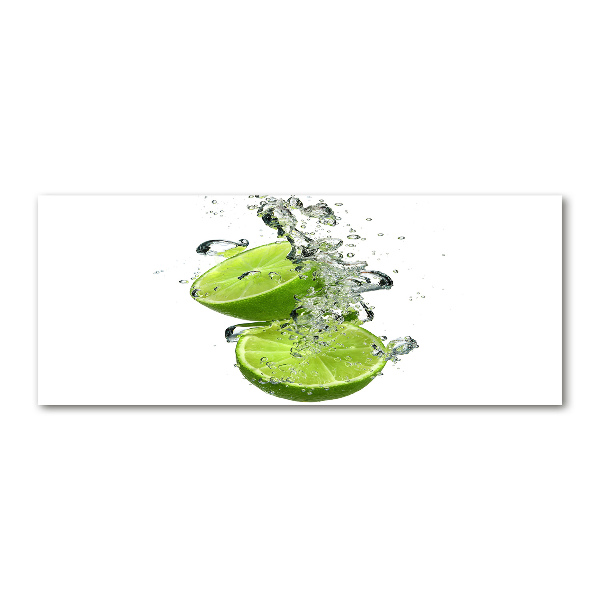 Quadro vetro acrilico Calce sott'acqua