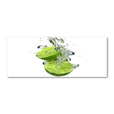 Quadro vetro acrilico Calce sott'acqua