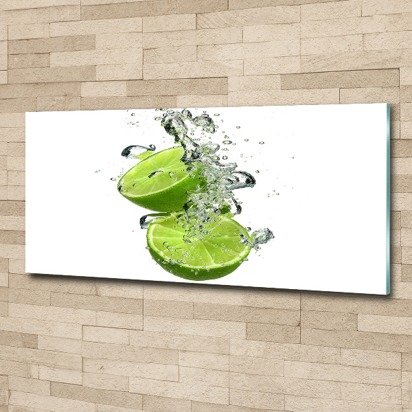 Quadro vetro acrilico Calce sott'acqua