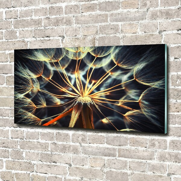 Quadro vetro acrilico Denti di leone