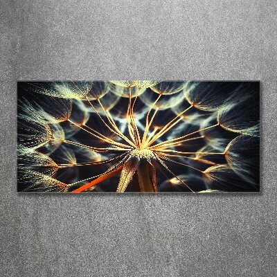 Quadro vetro acrilico Denti di leone